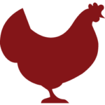 Kurczak