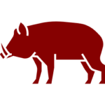 Dziczyzna